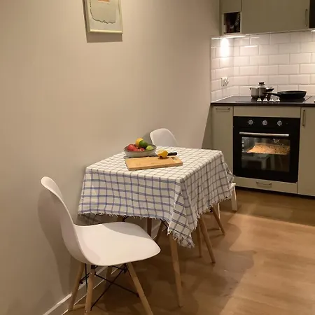 Apartment Modern Terraced With Garden *